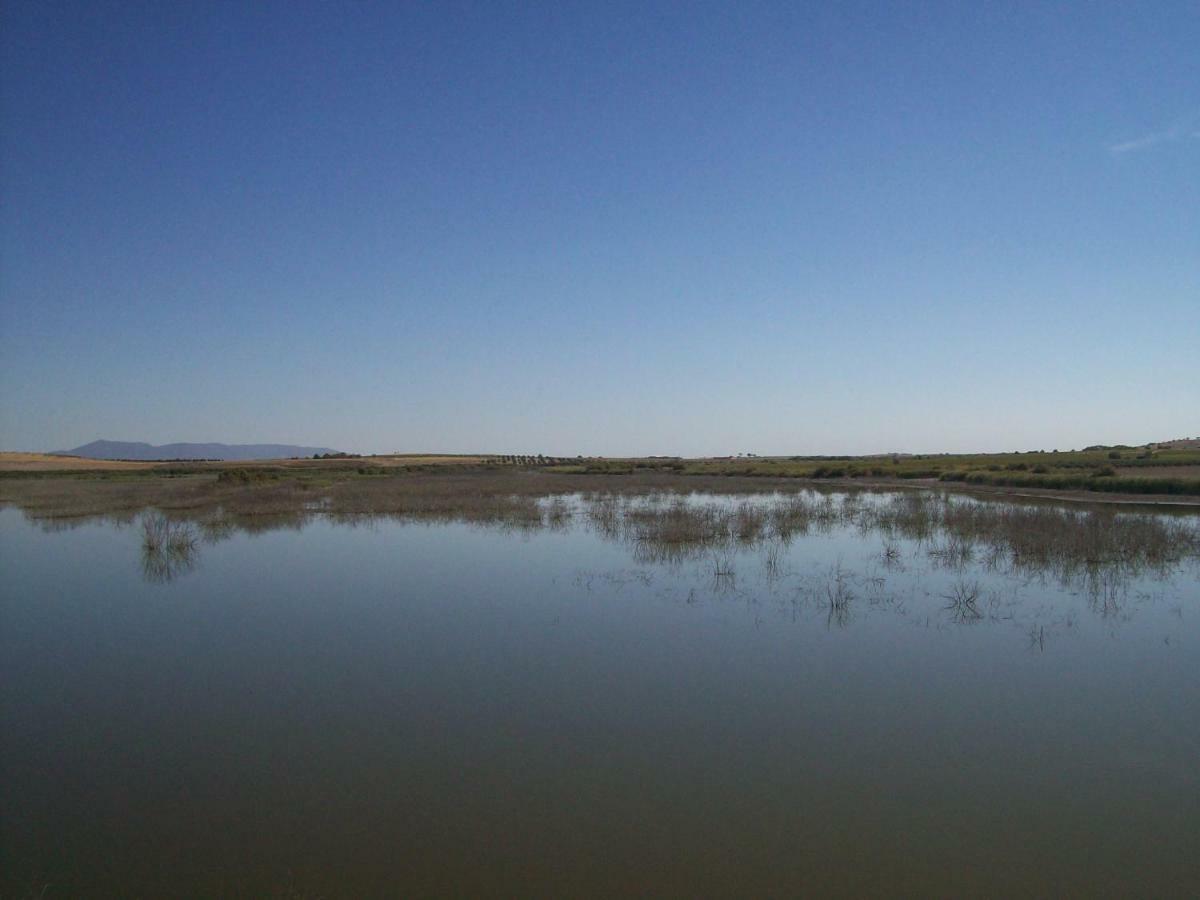 El Labriego, Casa Rural Fuente el Fresno Екстер'єр фото